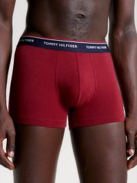 Buy Mens lace Panties Sexy Underwear Lace Boxer Briefs Online at  desertcartSeychelles