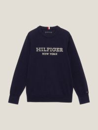 Tommy hilfiger 2025 boys hoodies