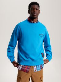 Buy Tommy Hilfiger Blue Global Stripe Monotype Half-zip Sweatshirt in  Organic Cotton for Men in Qatar