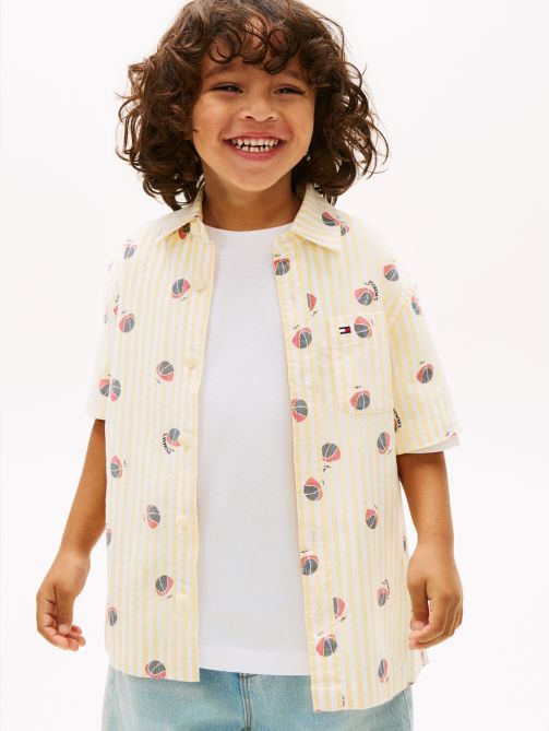 Print Ithaca Stripe Short Sleeve Oxford Shirt