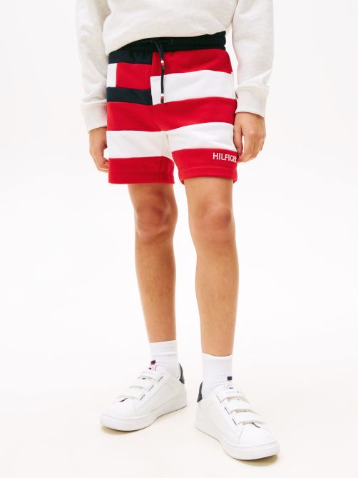 Flag All Over Stripe Jogger Shorts