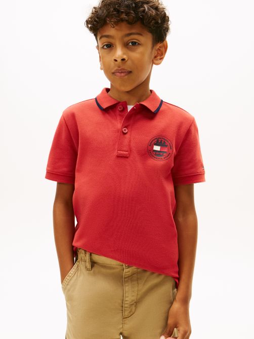 Graphic Polo Knit Polo Shirt