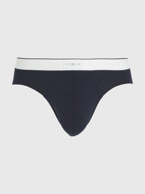 TH Established Waistband Logo Briefs