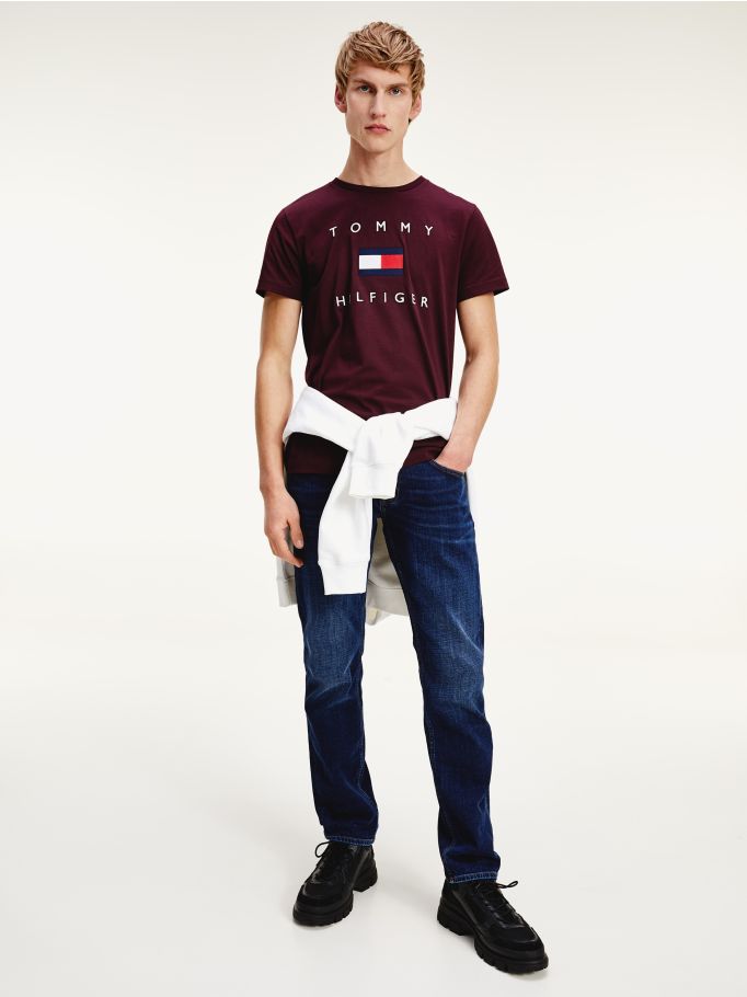 Men's Organic Cotton Flag T-Shirt in 