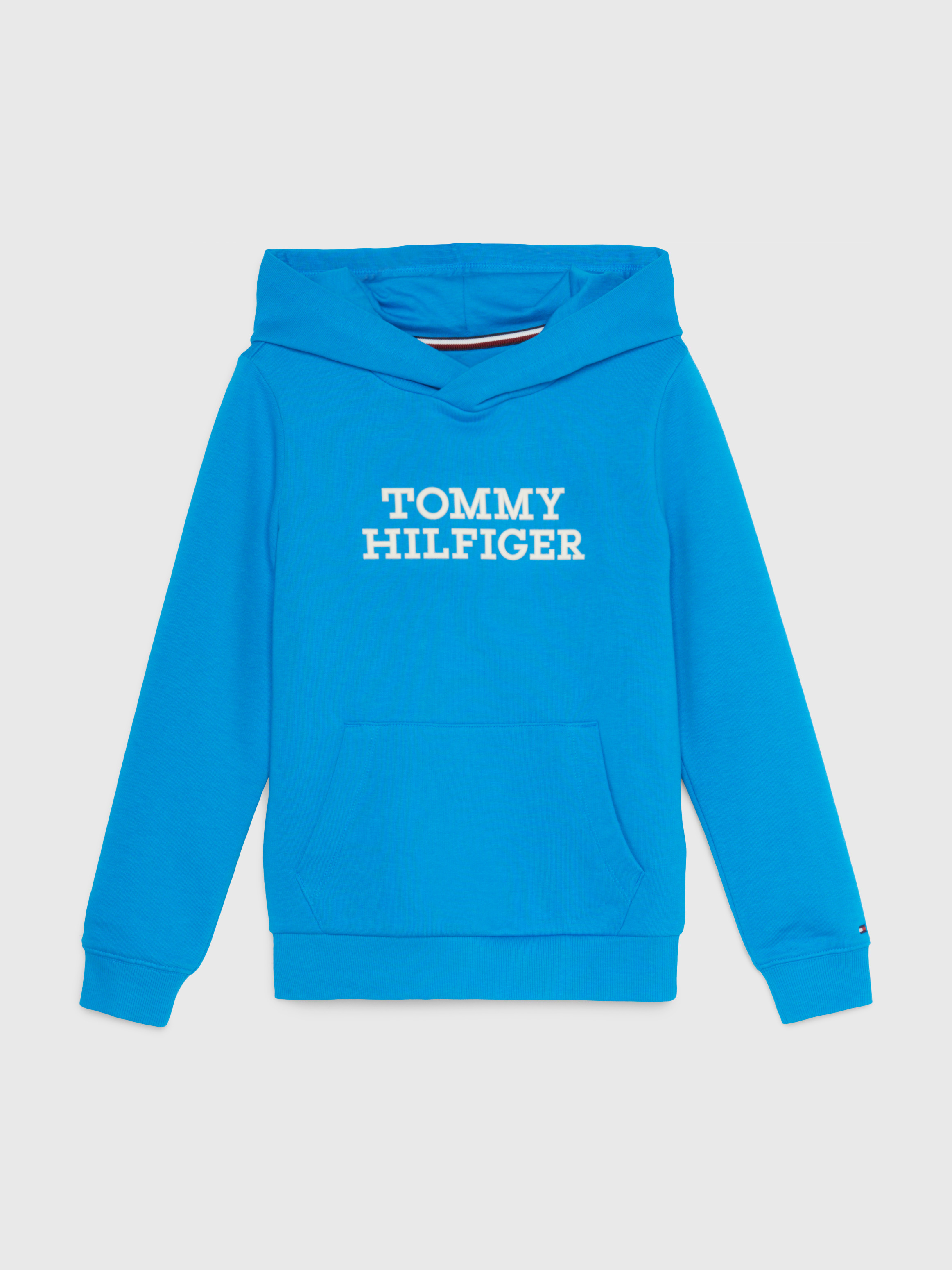Contrast Logo Terry Hoody