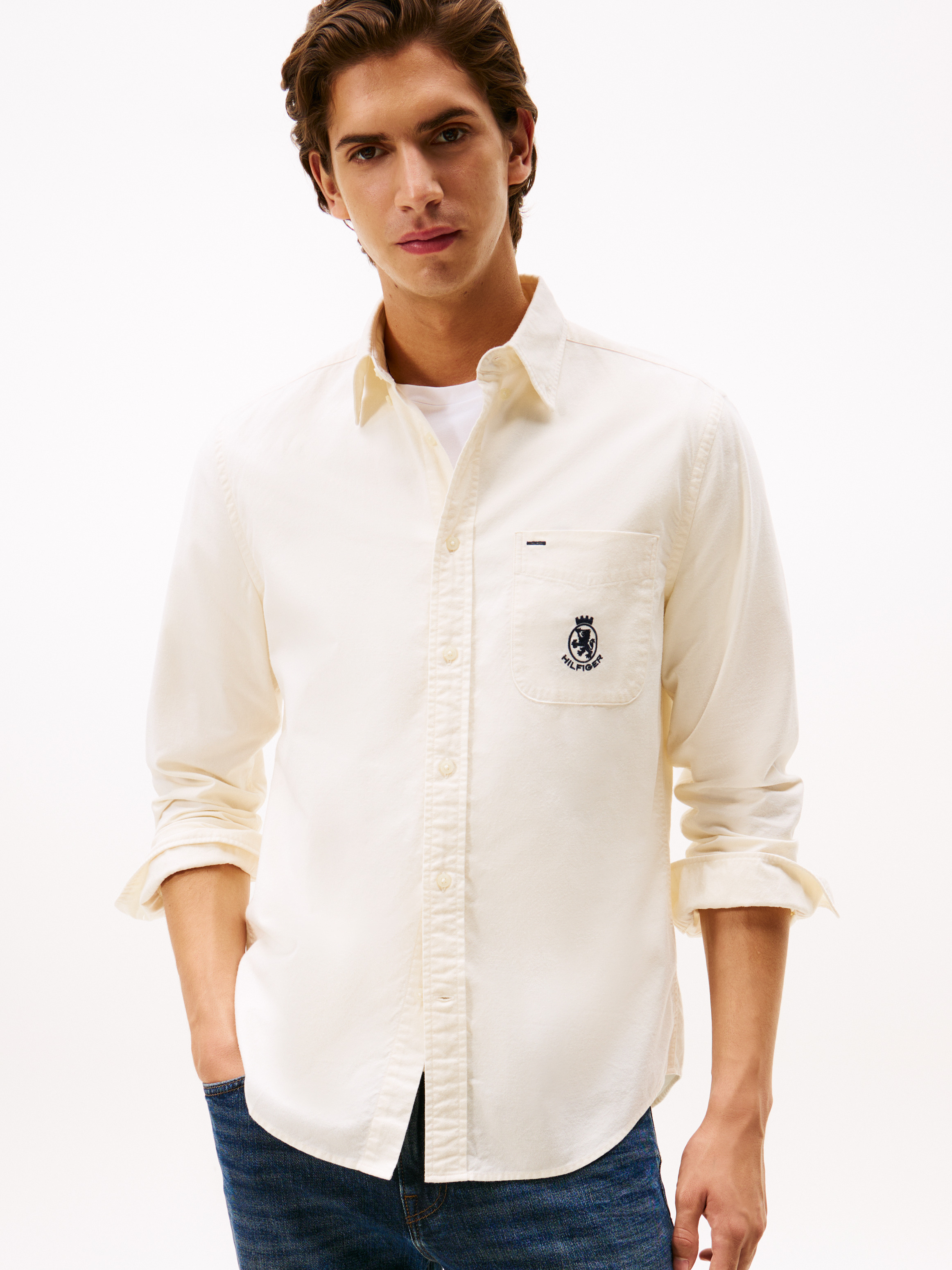 Regular Fit Brushed Oxford Shirt